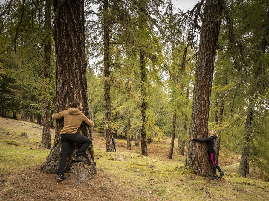 © Ente del Turismo  | Fai della Paganella, Parco del Respiro - ph Alberto Bernasconi